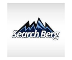 SearchBerg Reviews | Read Customer Service Reviews of searchberg.com