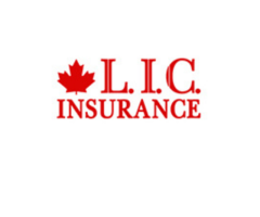 Professional Insurance Broker in Brampton - Canadian LIC Inc.