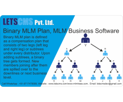 Binary MLM Plan | Hybrid MLM Software | BMW MLM Plan