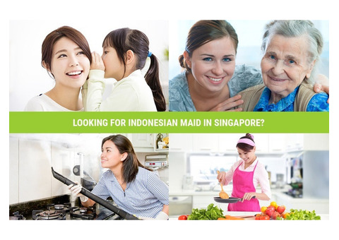 Best Indonesian Maid in Singapore