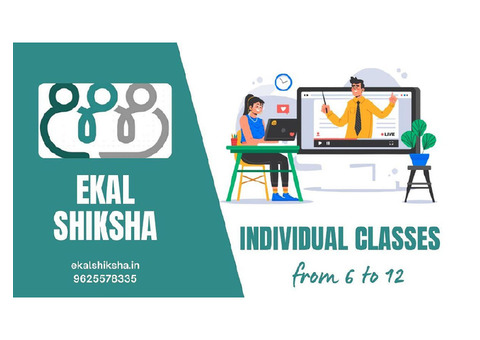 Individual Classes Online in Delhi