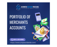 Alternative Merchant Processing | High-Risk Merchant | AMP