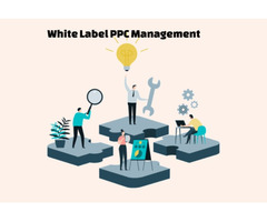 Grow your business to Pitch Pine Media's White Label PPC Agency