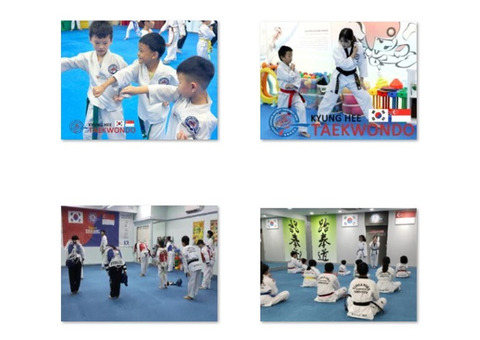 Respect for self, peers, and the art of TKD is crucial for beginners