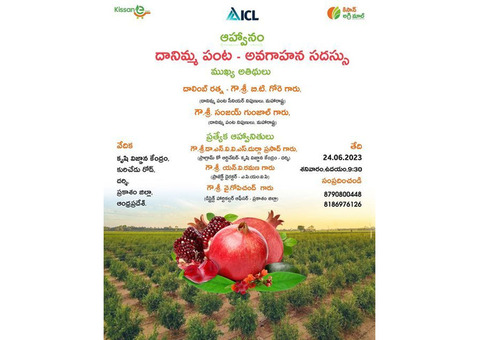 Boost Your Crop's Growth with Fertilizer || Kissan Agri Mall