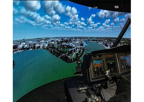 Simulator Display Screens