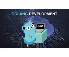 Elevating Excellence with Golang Development Services in Florida