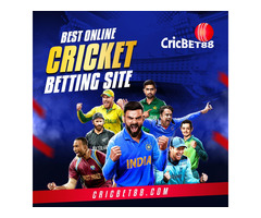 Cricbet88 Best Online Cricket Betting Site in India