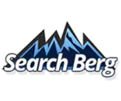 SearchBerg Reviews | Genuine SEO Testimonials from Clients