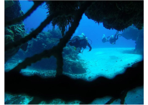 Cozumel Reef Diving