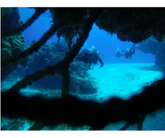 Cozumel Reef Diving