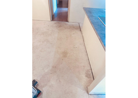 Carpet cleaning services Adelaide