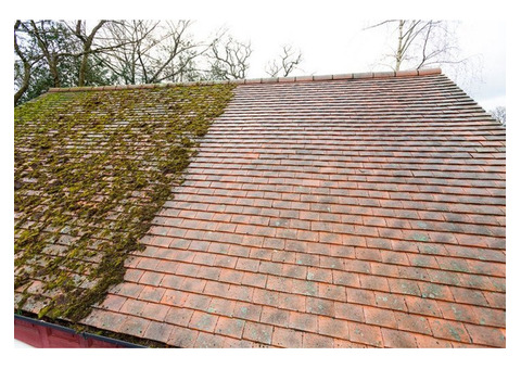 Best time of year to remove moss from roof UK