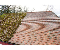 Best time of year to remove moss from roof UK