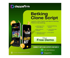 Affordable BetKing Clone Software for Quick Deployment