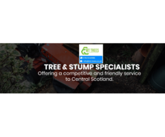 Your Trusted Tree Surgeon in Glasgow