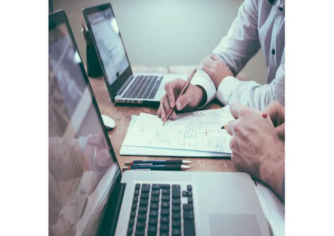 Best Web Design Services | Hire Today | Bloomview Marketing