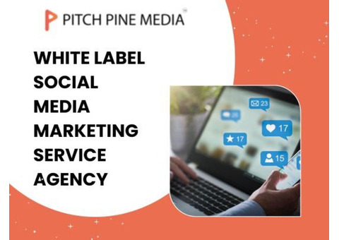Best White Label Social Media Marketing Service Agency India