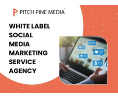 Best White Label Social Media Marketing Service Agency India