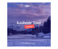 9 kashmir luxury holiday packages