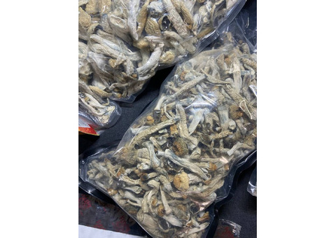 Buy Xanax LSD MDMA,LSD,SHROOMS,for sale in australia