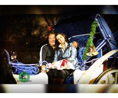 NYC Horse Carriage Services