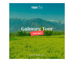 gulmarg kashmir tour package