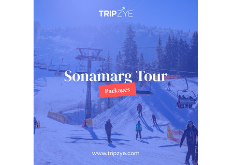 sonmarg tour packages
