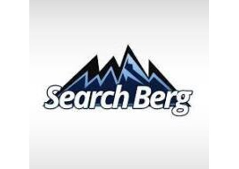 SEO Services | Buy Search Engine Optimization Services - Search Berg