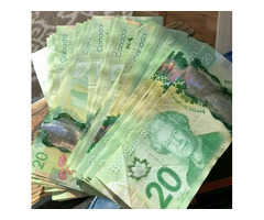 Buy canadian passports and drivers license,fake banknotes