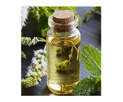 Peppermint Oil Manufacturers in India | Gramme Products