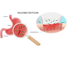 Effective Helicobacter Pylori Treatment