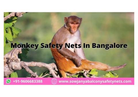 Monkey Safety Nets In Bangalore