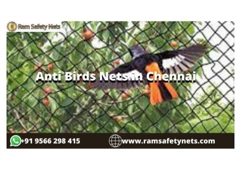 Anti Birds Nets in Chennai