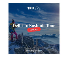 delhi to kashmir tour packages for couple