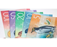 Buy Counterfeit New Zealand Dollar online