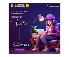 B Tech CSE with Animation| At MUIT University, Noida