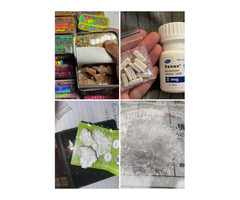 Buy Research chemicals online,LSD MDMA Shrooms