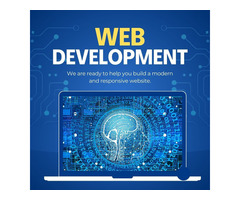 How to Identify the Best Web Development Company in UAE 2024