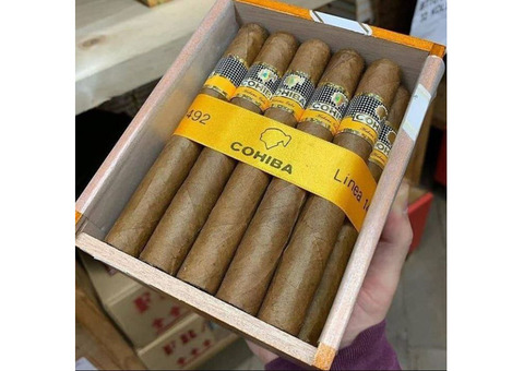 Buy Cohiba cigars, Tobacco cigarettes amber leafs bourbon whiskey