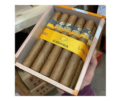 Buy Cohiba cigars, Tobacco cigarettes amber leafs bourbon whiskey