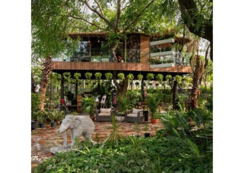 Looking for the best tree house resorts near Gurugram?