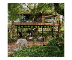 Looking for the best tree house resorts near Gurugram?