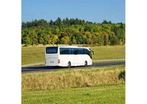 Bus Tours of Seattle