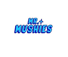 Mr Mushies