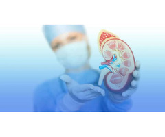 Stem Cell Therapy for Kidney Disease in Delhi