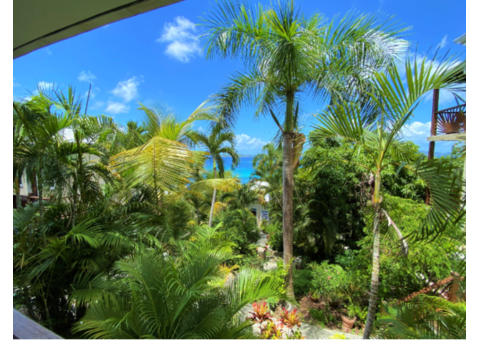 Best Cruz Bay Resorts – Estate Lindholm