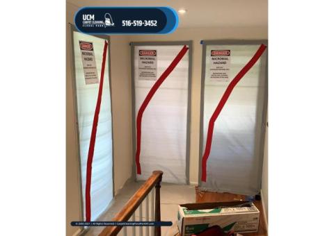 Mold Remediation in Floral Park