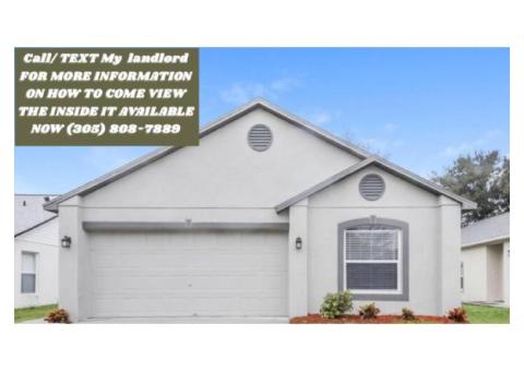 rent a house real estate