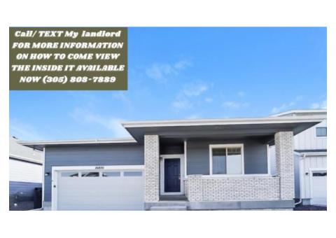rent a house real estate